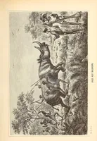 An illustration from Nach den Victoriafällen des Zambesi (1875)