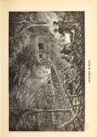 Picture 3 of 15 from Nach den Victoriafällen des Zambesi (1875), leaf 97