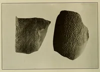 An illustration from The Nacoochee mound in Georgia (1918)