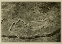 An illustration from The Nacoochee mound in Georgia (1918)