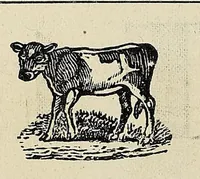 An illustration from Nakcokv es kerretv enhvteceskv. Muskokee or Creek first reader (1875)