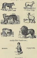 An illustration from Nakcokv es kerretv enhvteceskv. Muskokee or Creek first reader (1875)
