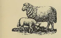 An illustration from Nakcokv es kerretv enhvtecskv = Muskokee or Creek first reader (1882)