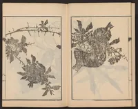 An illustration from Nanga kachō gafu (1918)