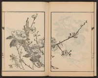 An illustration from Nanga kachō gafu (1918)