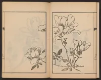 An illustration from Nanga kachō gafu (1918)