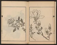 An illustration from Nanga kachō gafu (1918)