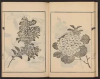 An illustration from Nanga kachō gafu (1918)