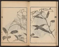 An illustration from Nanga kachō gafu (1918)