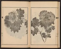 An illustration from Nanga kachō gafu (1918)