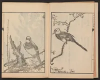 An illustration from Nanga kachō gafu (1918)