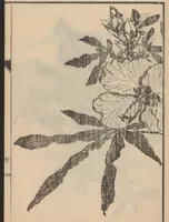 An illustration from Nanga kachō gafu (1918)