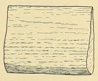Picture 7 of 19 from The Nanticoke community of Delaware (1915), leaf 39