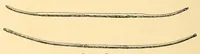 An illustration from The Nanticoke community of Delaware (1915)