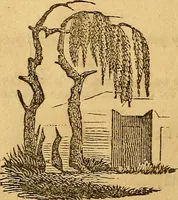 An illustration from Napaleon's oraculum and dreambook (1839)