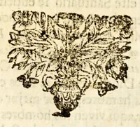 An illustration from Narracion de la maravillosa aparicion, que hizo el arcangel S. Miguela Diego Lazaro de S. Francisco, : indio feligres del pueblo de S. Bernardo, de la jurisdicion de Santa Maria Nativitas. Fundacion del Santuario, que llaman S. Miguel del Milagro; de la fuente milagrosa, que debaxo de vna peña mostrò el principe de los angeles; de los milagros, que ha hecho el agua bendita, y el barro amasado de dicha fuente en los que con fè, y devocion han usado de ellos para remedio de sus males. (1692)