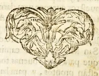 An illustration from Narracion de la maravillosa aparicion, que hizo el arcangel S. Miguela Diego Lazaro de S. Francisco, : indio feligres del pueblo de S. Bernardo, de la jurisdicion de Santa Maria Nativitas. Fundacion del Santuario, que llaman S. Miguel del Milagro; de la fuente milagrosa, que debaxo de vna peña mostrò el principe de los angeles; de los milagros, que ha hecho el agua bendita, y el barro amasado de dicha fuente en los que con fè, y devocion han usado de ellos para remedio de sus males. (1692)