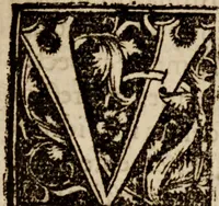 Picture 5 of 8 from Narratio historica vicissitvdinis rervm quae in inclyto Brittaniae Regno acciderunt, Anno Domini 1553 (1558), leaf 40