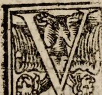 Picture 6 of 8 from Narratio historica vicissitvdinis rervm quae in inclyto Brittaniae Regno acciderunt, Anno Domini 1553 (1558), leaf 41