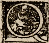 Picture 7 of 8 from Narratio historica vicissitvdinis rervm quae in inclyto Brittaniae Regno acciderunt, Anno Domini 1553 (1558), leaf 45