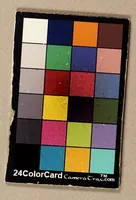 An illustration from Narrationes duæ admodum memorabiles, : quarum prima continet diarium expeditionis Francisci Draki equitis Angli in Indias Occidentales suscepæ, anno MDLXXXV. Altera omnium rerum ab eodem Drako et Norreysio in Lusitanica irruptione gestarum fidelem continuationem subjicit (1590)