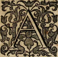 An illustration from Narrationes modernae, or Modern reports begun in the now Upper bench court at Westminster (1658)