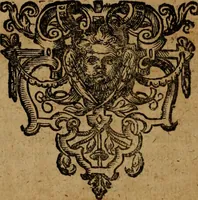 Picture 25 of 26 from Narratio regionum indicarum per Hispanos quosdam devastatarum verissima (1614), leaf 133