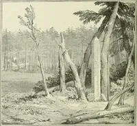 Picture 37 of 154 from Narrative and critical history of America (1884), leaf 189