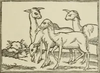 An illustration from Narrative and critical history of America (1884)
