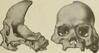 An illustration from Narrative and critical history of America (1884)