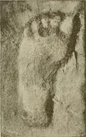 An illustration from Narrative and critical history of America (1884)
