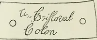 An illustration from Narrative and critical history of America (1884)