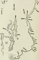 An illustration from Narrative and critical history of America (1884)