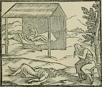An illustration from Narrative and critical history of America (1884)