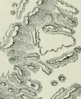 An illustration from Narrative and critical history of America (1884)