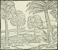 An illustration from Narrative and critical history of America (1884)