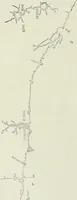 An illustration from Narrative and critical history of America (1884)