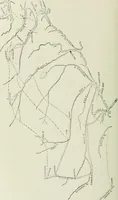 Picture 86 of 207 from Narrative and critical history of America (1884), leaf 369