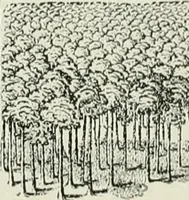 Picture 92 of 207 from Narrative and critical history of America (1884), leaf 391