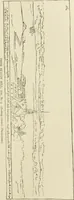 An illustration from Narrative and critical history of America (1884)