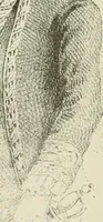 An illustration from Narrative and critical history of America (1884)