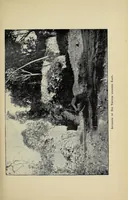 An illustration from A narrative of further excavations at Zimbabye (Mashonaland) (1893)