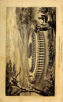 Picture 9 of 16 from Narrative of a journey to the Zoolu country, in South Africa (1836), leaf 115