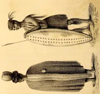 Picture 10 of 16 from Narrative of a journey to the Zoolu country, in South Africa (1836), leaf 152