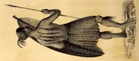 Picture 11 of 16 from Narrative of a journey to the Zoolu country, in South Africa (1836), leaf 152