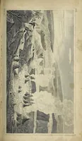 An illustration from Narrative of a tour through Hawaii, or Owhyhee with observations on the natural history of the Sandwich Islands, and remarks on the manners, customs, traditions, history, and language of their inhabitants (1827)