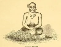 An illustration from Narrative of the United States exploring expedition during the years 1838, 1839, 1840, 1841, 1842 (1845)