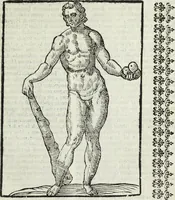 Picture 107 of 149 from Natalis Comitis Mythologiae, siue, Explicationis fabularum libri decem; in quibvs omnia prope naturalis et moralis philosophiae dogmata in veterum fabulis contenta fuisse perspicuè demonstratur (1616), leaf 412