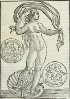 Picture 116 of 149 from Natalis Comitis Mythologiae, siue, Explicationis fabularum libri decem; in quibvs omnia prope naturalis et moralis philosophiae dogmata in veterum fabulis contenta fuisse perspicuè demonstratur (1616), leaf 488