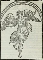Picture 123 of 149 from Natalis Comitis Mythologiae, siue, Explicationis fabularum libri decem; in quibvs omnia prope naturalis et moralis philosophiae dogmata in veterum fabulis contenta fuisse perspicuè demonstratur (1616), leaf 523